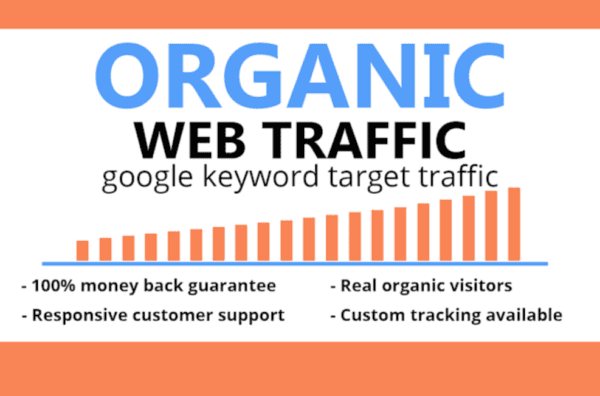 100000 ORGANIC WEB TRAFFIC SERVICES