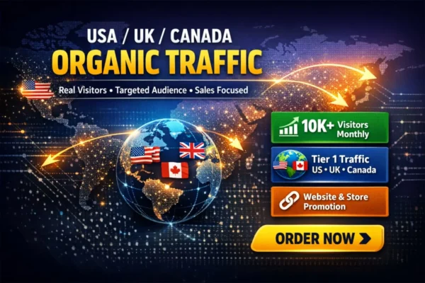 100000 ORGANIC WEB TRAFFIC SERVICES