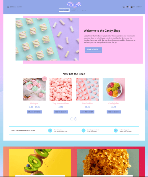 SHOP / ECOMMERCE WEBSITES